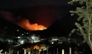 Gürcistan’ın Yunanistan Büyükelçiliği, yangınlar nedeniyle bir acil durum hattı numarası duyurdu.