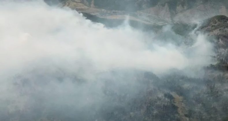 Borjomi’de Korkutan Yangın! Alevler Yerleşim Yerine Yaklaşıyor!