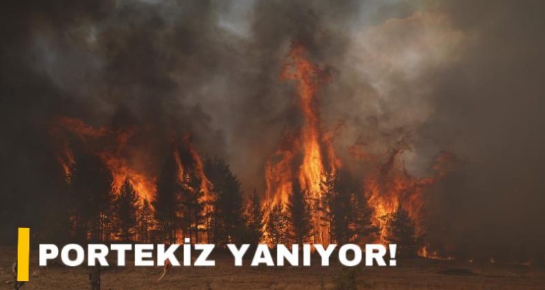 Portekiz, Tarihinin En Büyük Orman Yangınlarından Dolayı Ulusal Yas İlan Etti