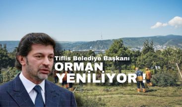 Tiflis Belediye Başkanı orman yeniliyor!