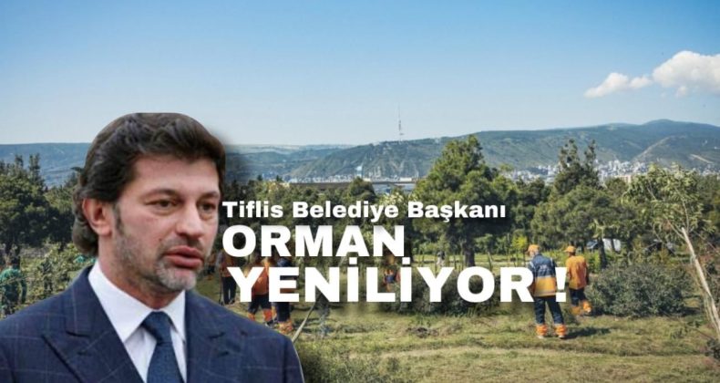 Tiflis Belediye Başkanı orman yeniliyor!