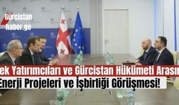 Çek Yatırımcıları ve Gürcistan Hükümeti Arasında Enerji Projeleri ve İşbirliği Görüşmesi!