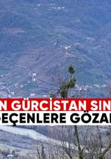 Polis, Gürcistan-Türkiye Sınırını Kaçak Geçen Altı Kişiyi Gözaltına Aldı