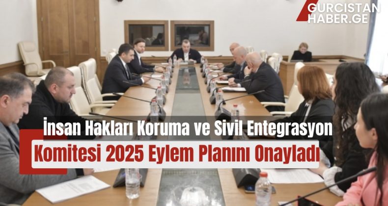 İnsan Hakları Koruma ve Sivil Entegrasyon Komitesi 2025 Eylem Planını Onayladı
