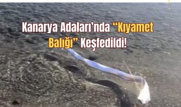 Kanarya Adaları’nda “Kıyamet Balığı” Keşfedildi!