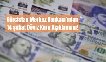 Lari, Dolar ve Avro Karşısında Değer Kaybetti!