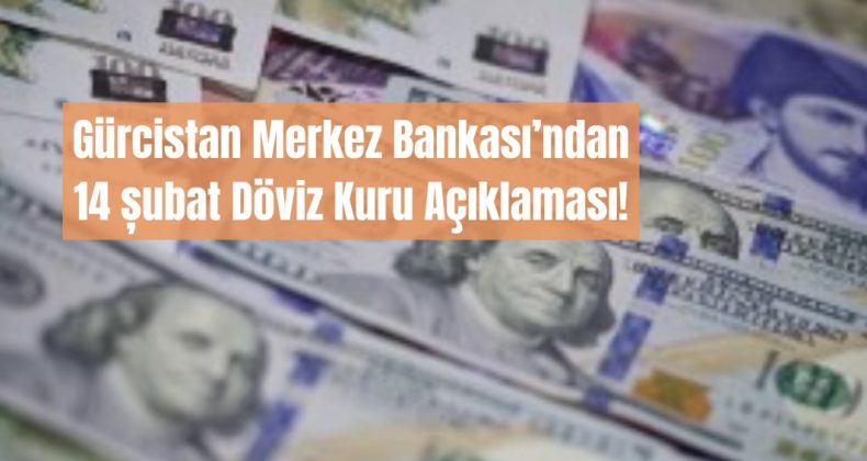 Lari, Dolar ve Avro Karşısında Değer Kaybetti!