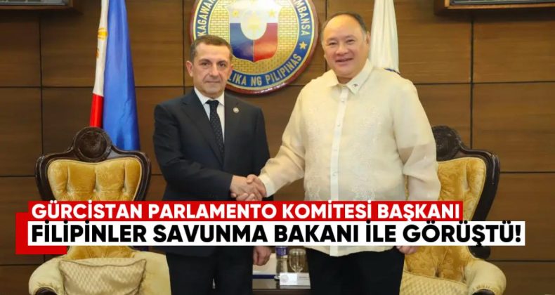 Gürcistan Parlamento Komitesi Başkanı, Filipinler Ulusal Savunma Bakanı ile İlişkileri Görüştü