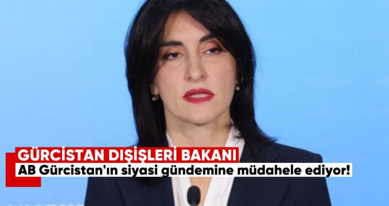 Botchorishvili: “AB, Gürcistan’ın Siyasi Gündemine Müdahale Ediyor”