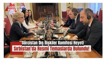 Gürcistan Dış İlişkiler Komitesi Heyeti Sırbistan’da Resmi Temaslarda Bulundu!