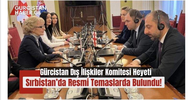 Gürcistan Dış İlişkiler Komitesi Heyeti Sırbistan’da Resmi Temaslarda Bulundu!