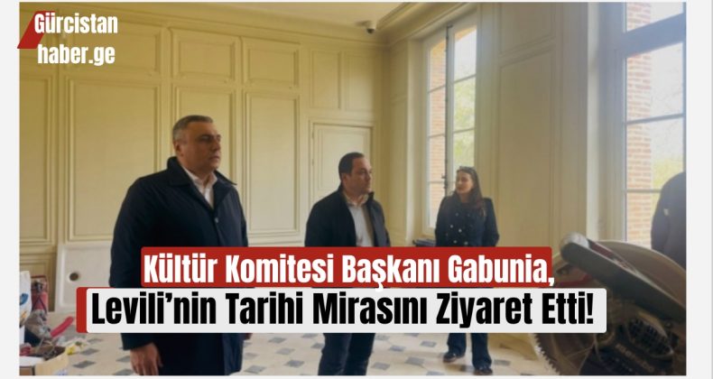 Kültür Komitesi Başkanı Gabunia, Levili’nin Tarihi Mirasını Ziyaret Etti
