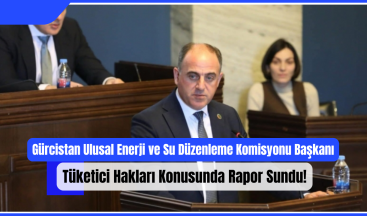 Gürcistan Ulusal Enerji ve Su Düzenleme Komisyonu Başkanı, Tüketici Hakları Konusunda Rapor Sundu!