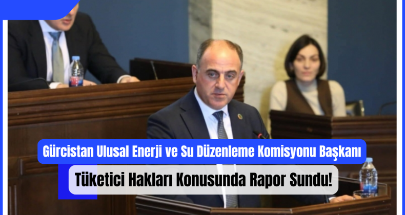 Gürcistan Ulusal Enerji ve Su Düzenleme Komisyonu Başkanı, Tüketici Hakları Konusunda Rapor Sundu!