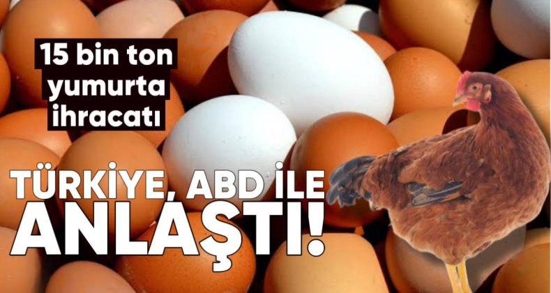 Türkiye, ABD ile 15 Bin Ton Yumurta İhracatı İçin Anlaştı