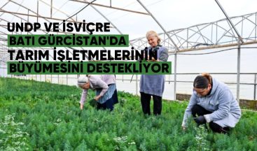 UNDP ve İsviçre, Batı Gürcistan’da Tarım İşletmelerinin Büyümesini Destekliyor