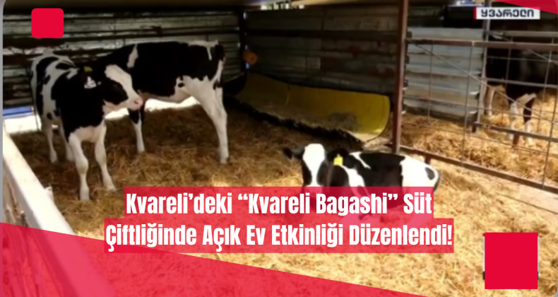 Kvareli’deki “Kvareli Bagashi” Süt Çiftliğinde Açık Ev Etkinliği Düzenlendi!