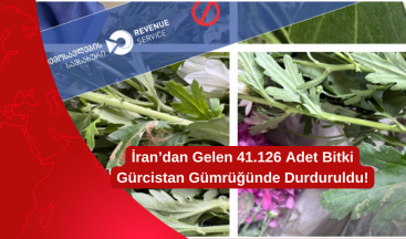 İran’dan Gelen 41.126 Adet Bitki Gürcistan Gümrüğünde Durduruldu!