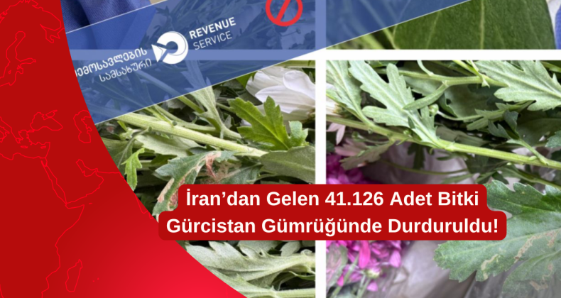 İran’dan Gelen 41.126 Adet Bitki Gürcistan Gümrüğünde Durduruldu!