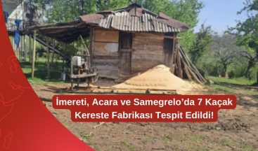 İmereti, Acara ve Samegrelo’da 7 Kaçak Kereste Fabrikası Tespit Edildi!