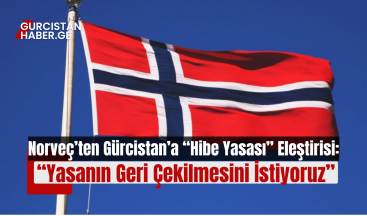 Norveç’ten Gürcistan’a “Hibe Yasası” Eleştirisi: “Yasanın Geri Çekilmesini İstiyoruz”