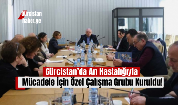 Gürcistan’da Arı Hastalığıyla Mücadele İçin Özel Çalışma Grubu Kuruldu!