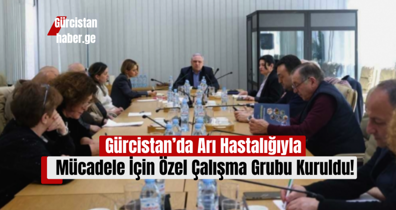 Gürcistan’da Arı Hastalığıyla Mücadele İçin Özel Çalışma Grubu Kuruldu!