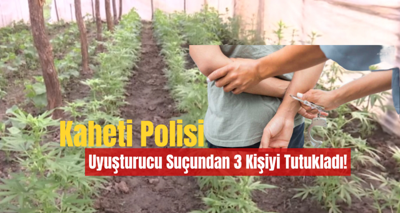 Kaheti Polisi Uyuşturucu Suçundan 3 Kişiyi Tutukladı!