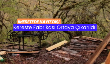 İmereti’de Kayıt Dışı Kereste Fabrikası Ortaya Çıkarıldı!
