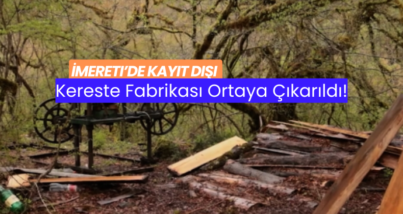İmereti’de Kayıt Dışı Kereste Fabrikası Ortaya Çıkarıldı!