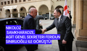 Nikoloz Samkharadze, AGİT Genel Sekreteri Feridun Sinirlioğlu ile Görüştü!