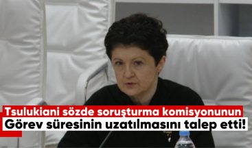 Thea Tsulukiani, sözde soruşturma komisyonunun görev süresinin uzatılmasını talep etti