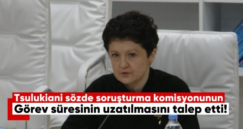 Thea Tsulukiani, sözde soruşturma komisyonunun görev süresinin uzatılmasını talep etti