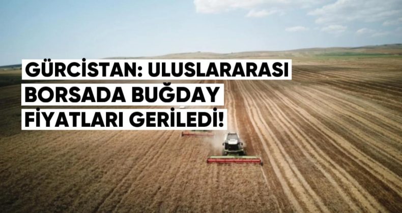 Gürcistan: Uluslararası Borsada Buğday Fiyatları Geriledi