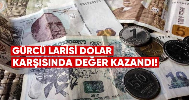 Gürcü Larisi Dolar Karşısında Değer Kazandı, Euro ve Sterlin Karşısında Geriledi
