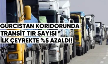 Gürcistan Koridorunda Transit Tır Sayısı İlk Çeyrekte %5 Azaldı