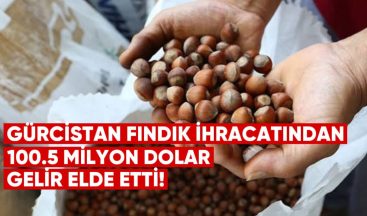 Gürcistan, Fındık İhracatından 100.5 Milyon Dolar Gelir Elde Etti