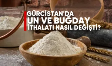 Gürcistan’da Un ve Buğday İthalatı Nasıl Değişti?