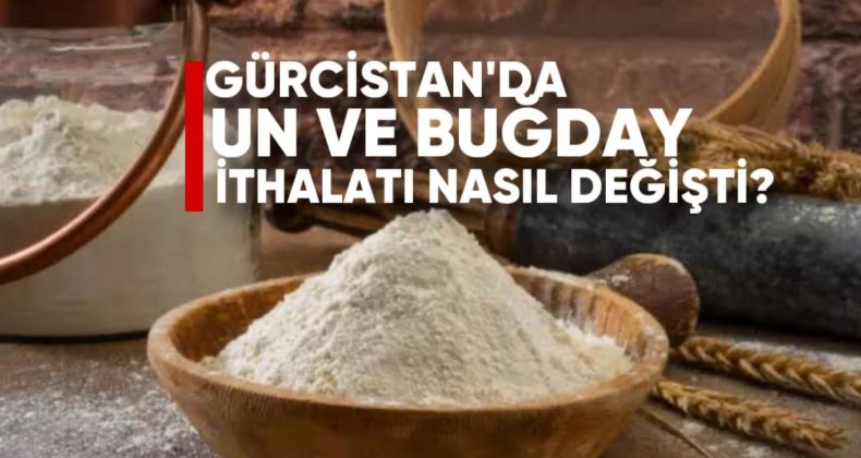 Gürcistan’da Un ve Buğday İthalatı Nasıl Değişti?