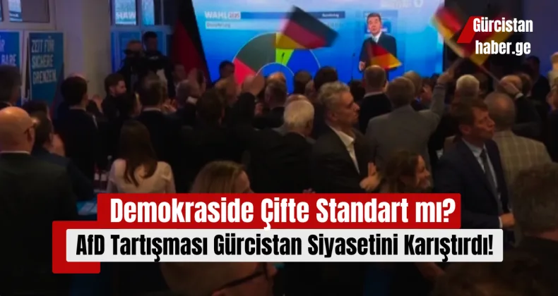 Demokraside Çifte Standart mı! AfD Tartışması Gürcistan Siyasetini Karıştırdı!