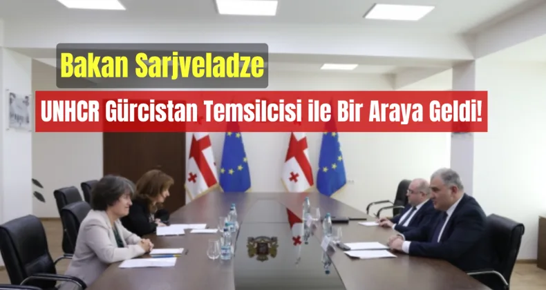 Bakan Sarjveladze, UNHCR Gürcistan Temsilcisi ile Bir Araya Geldi!