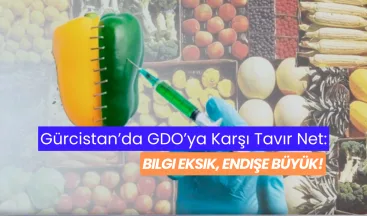 Gürcistan’da GDO’ya Karşı Tavır Net: Bilgi Eksik, Endişe Büyük!