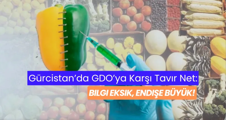 Gürcistan’da GDO’ya Karşı Tavır Net: Bilgi Eksik, Endişe Büyük!