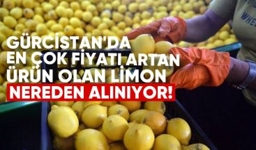 Gürcistan’da Fiyatı En Çok Artan Ürün Olan Limon Nereden Alınıyor?