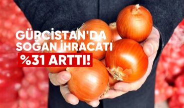 Gürcistan’da Soğan İthalatı %31 Arttı: Ana Tedarikçi Özbekistan Oldu