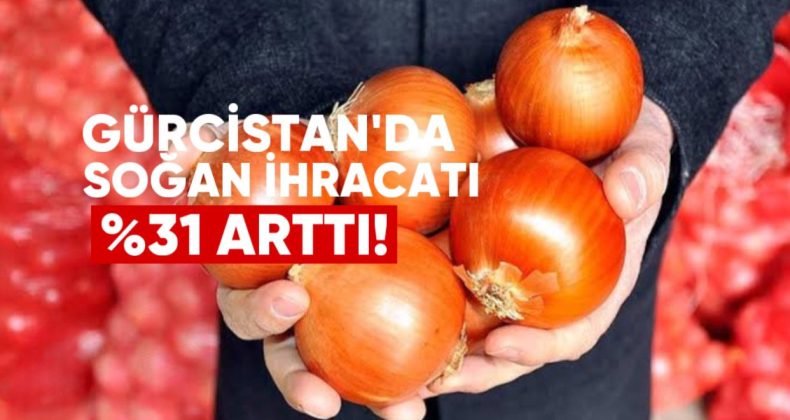 Gürcistan’da Soğan İthalatı %31 Arttı: Ana Tedarikçi Özbekistan Oldu