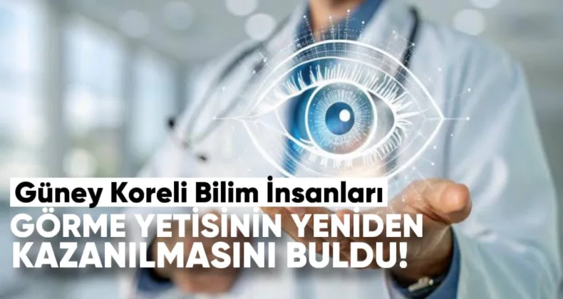 Güney Koreli Bilim İnsanları Görme Yetisinin Yeniden Kazanılmasının Yolunu Buldu