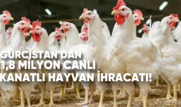 Gürcistan’dan 1,8 Milyon Canlı Kanatlı Hayvan İhracatı
