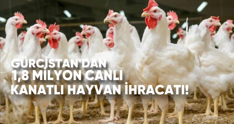 Gürcistan’dan 1,8 Milyon Canlı Kanatlı Hayvan İhracatı