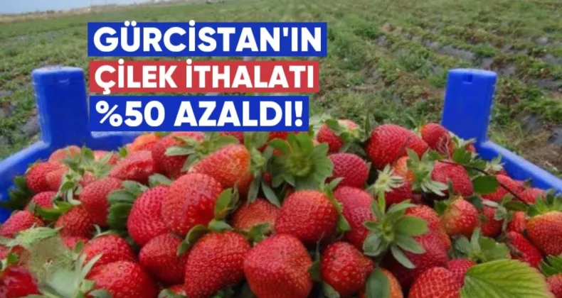 Bu Yıl Gürcistan’ın Çilek İthalatı Yüzde 50 Azaldı — Hangi Ülkelerden ve Ne Fiyata Meyve Alıyoruz?